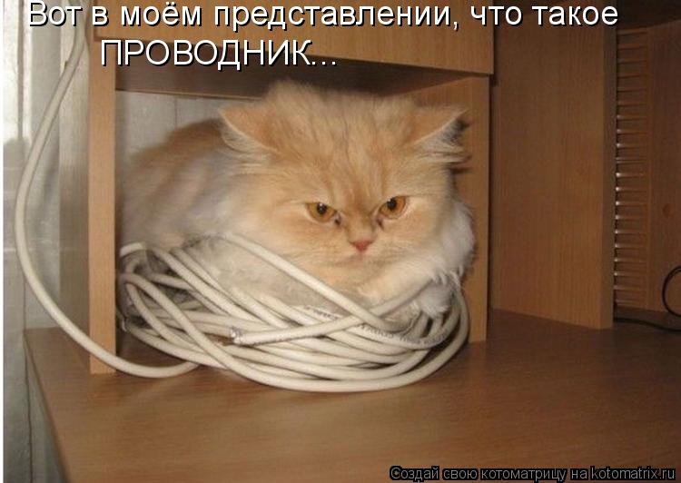Вот в моём представлении, что такое ПРОВОДНИК...... Котоматрица: Вот в моём представлении, что такое ПРОВОДНИК...