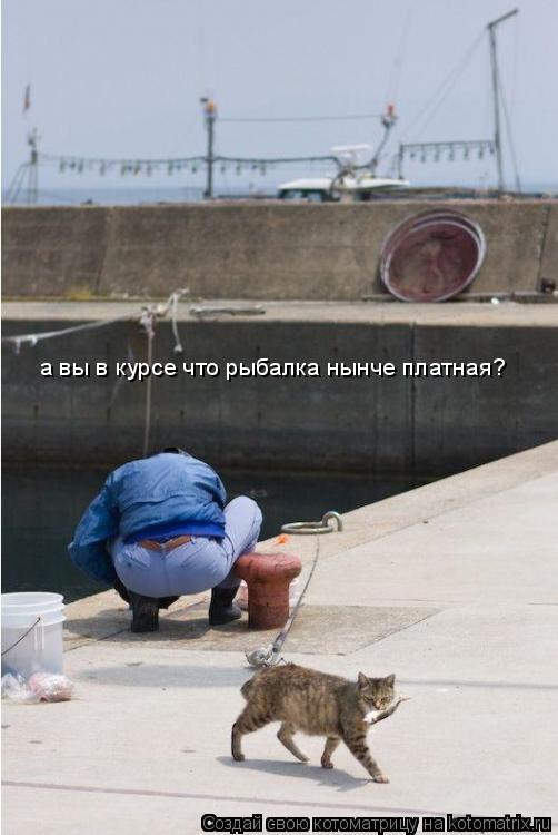 а вы в курсе что рыбалка нынче платная?... Котоматрица: а вы в курсе что рыбалка нынче платная?