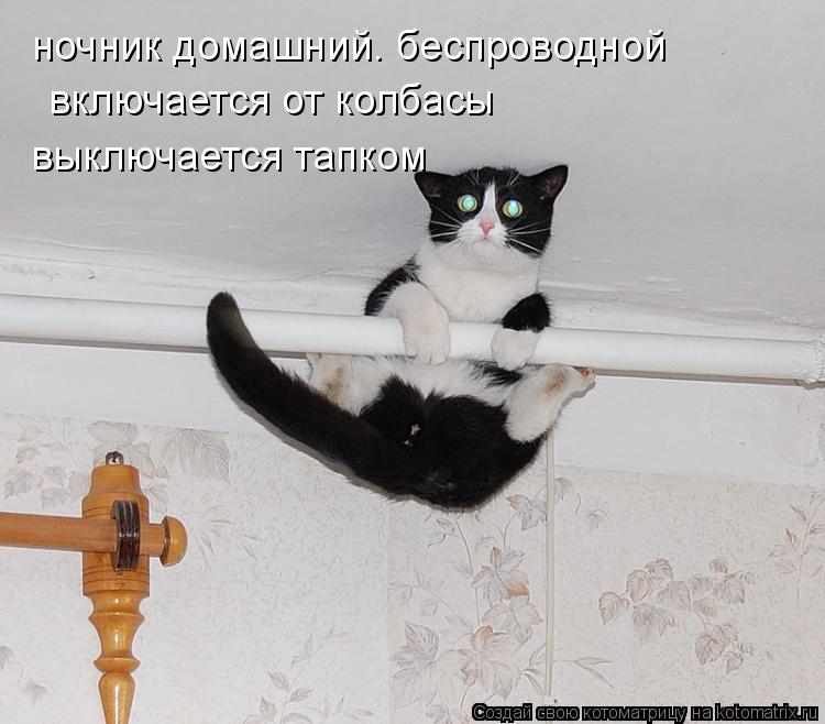 ночник домашний. беспроводной включается от колбасы выключается тапком... Котоматрица: ночник домашний. беспроводной включается от колбасы выключается тапком