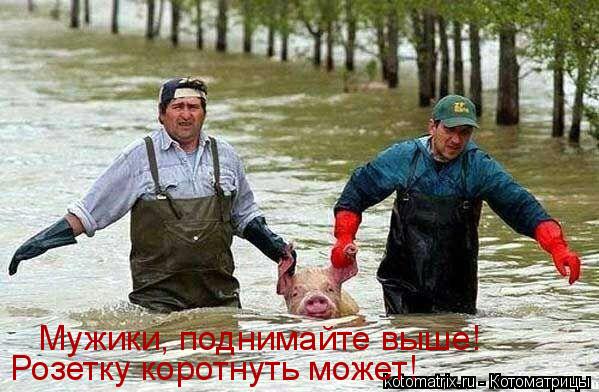 Котоматрица: Мужики, поднимайте выше! Розетку коротнуть может!
