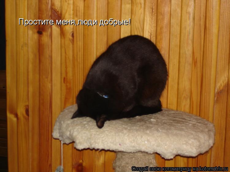 Простите меня,люди добрые!... Котоматрица: Простите меня,люди добрые!