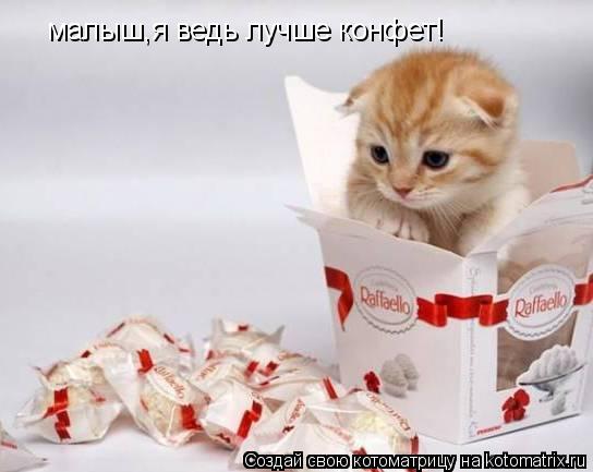 малыш,я ведь лучше конфет!... Котоматрица: малыш,я ведь лучше конфет!