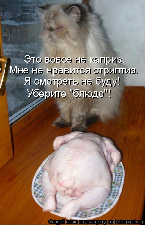 Котоматрица: Это вовсе не каприз. Мне не нравится стриптиз. Я смотреть не буду! Уберите "блюдо"!