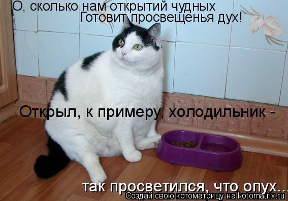 Котоматрица: О, сколько нам открытий чудных  Готовит просвещенья дух! Открыл, к примеру, холодильник -  так просветился, что опух...
