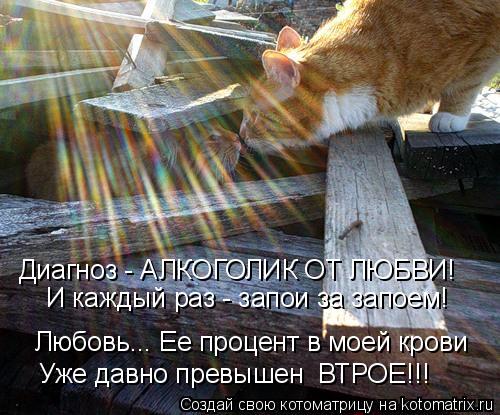 Любовь... Ее процент в моей крови Уже давно превышен ВТРОЕ!!! Диагноз - АЛКОГОЛИК ОТ ЛЮБВИ! И каждый... Котоматрица: Любовь... Ее процент в моей крови Уже давно превышен ВТРОЕ!!! Диагноз - АЛКОГОЛИК ОТ ЛЮБВИ! И каждый раз - запои за запоем!