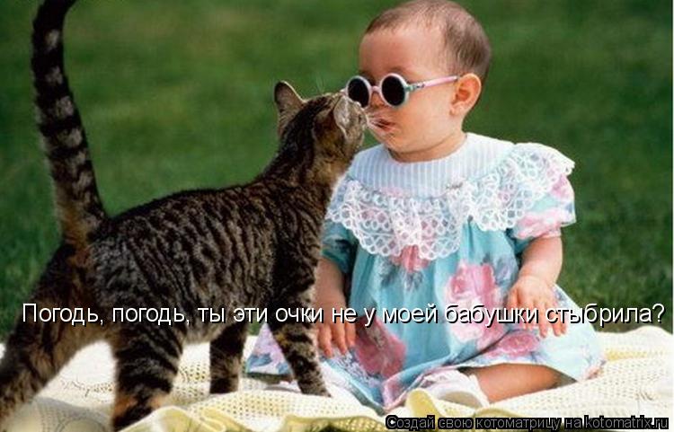 Погодь, погодь, ты эти очки не у моей бабушки стыбрила?... Котоматрица: Погодь, погодь, ты эти очки не у моей бабушки стыбрила?