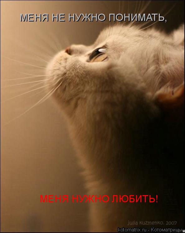 МЕНЯ НЕ НУЖНО ПОНИМАТЬ, МЕНЯ НУЖНО ЛЮБИТЬ!... Котоматрица: МЕНЯ НЕ НУЖНО ПОНИМАТЬ, МЕНЯ НУЖНО ЛЮБИТЬ!
