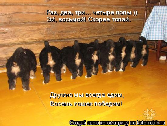 Раз, два, три... четыре попы )) Эй, восьмой! Скорее топай. Дружно мы всегда едим, Восемь кошек победи... Котоматрица: Раз, два, три... четыре попы )) Эй, восьмой! Скорее топай. Дружно мы всегда едим, Восемь кошек победим!