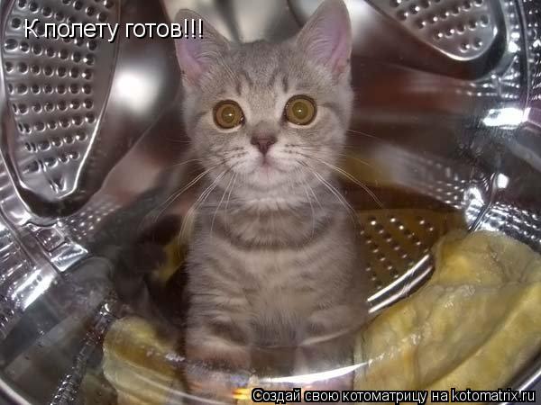 К полету готов!!!... Котоматрица: К полету готов!!!