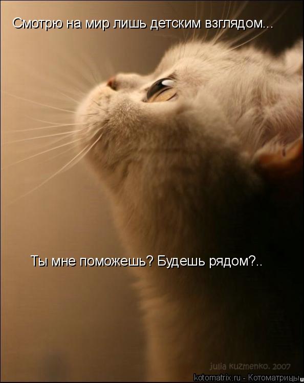 Смотрю на мир лишь детским взглядом... Ты мне поможешь? Будешь рядом?..... Котоматрица: Смотрю на мир лишь детским взглядом... Ты мне поможешь? Будешь рядом?..