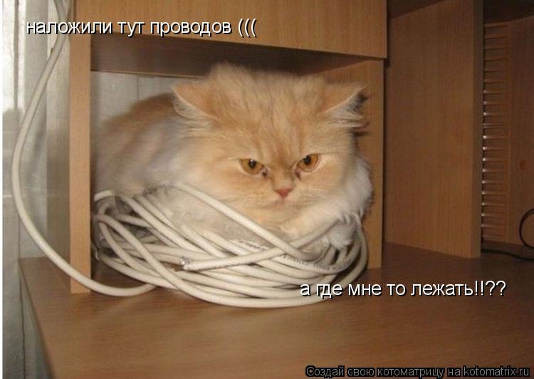 наложили тут проводов ((( а где мне то лежать!!??... Котоматрица: наложили тут проводов ((( а где мне то лежать!!??