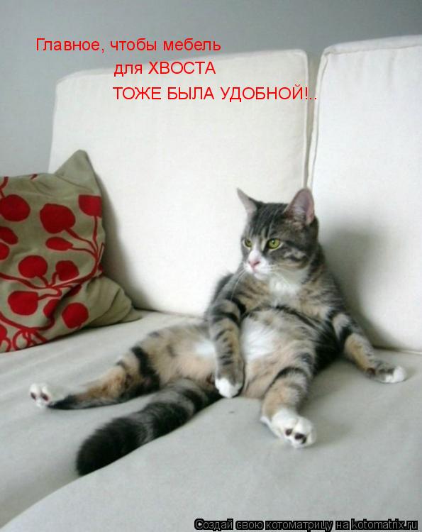 Главное, чтобы мебель для ХВОСТА ТОЖЕ БЫЛА УДОБНОЙ!..... Котоматрица: Главное, чтобы мебель для ХВОСТА ТОЖЕ БЫЛА УДОБНОЙ!..
