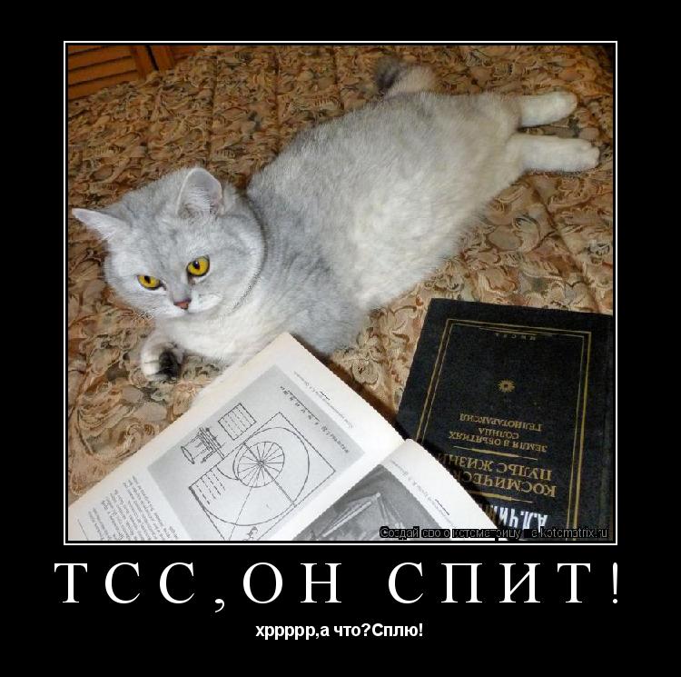 Тсс,он спит! хррррр,а что?Сплю!... Котоматрица: Тсс,он спит! хррррр,а что?Сплю!