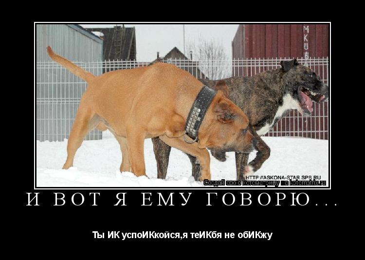 И вот я ему говорю... Ты ИК успоИКкойся,я теИКбя не обИКжу... Котоматрица: И вот я ему говорю... Ты ИК успоИКкойся,я теИКбя не обИКжу