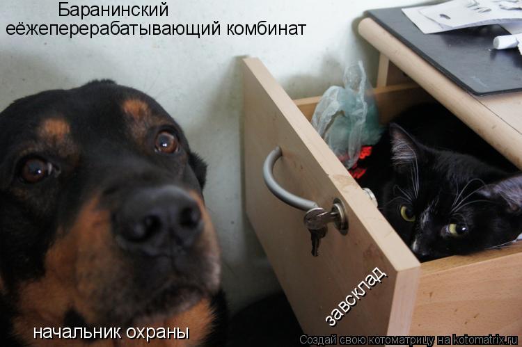 Баранинский еёжеперерабатывающий комбинат начальник охраны завсклад... Котоматрица: Баранинский еёжеперерабатывающий комбинат начальник охраны завсклад