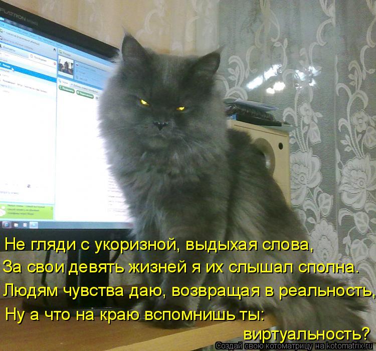 Не гляди с укоризной, выдыхая слова, За свои девять жизней я их слышал сполна. Людям чувства даю, воз... Котоматрица: Не гляди с укоризной, выдыхая слова, За свои девять жизней я их слышал сполна. Людям чувства даю, возвращая в реальность, Ну а что на краю всп