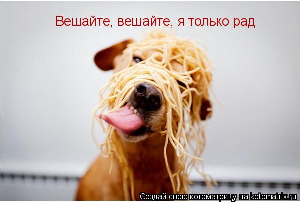 Вешайте, вешайте, я только рад... Котоматрица: Вешайте, вешайте, я только рад