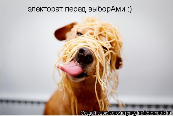 электорат перед выборАми :)... Котоматрица: электорат перед выборАми :)