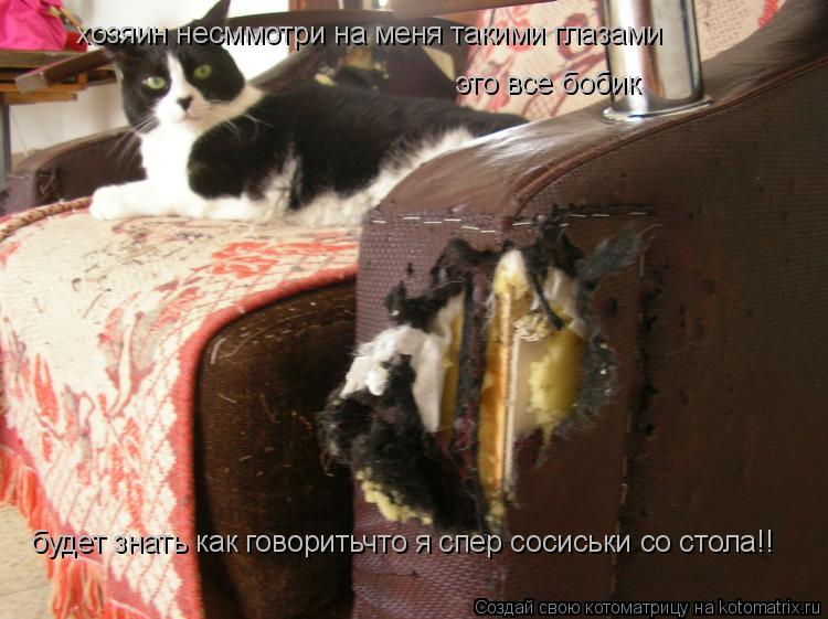 хозяин несммотри на меня такими глазами это все бобик будет знать как говоритьчто я спер сосиськи со ... Котоматрица: хозяин несммотри на меня такими глазами это все бобик будет знать как говоритьчто я спер сосиськи со стола!!