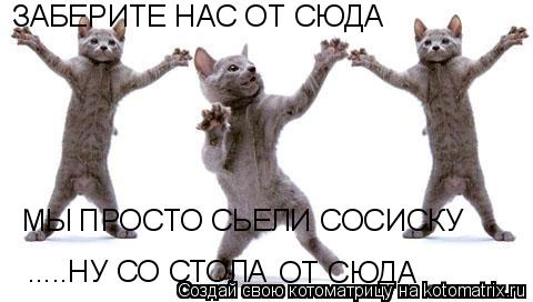 ЗАБЕРИТЕ НАС ОТ СЮДА МЫ ПРОСТО СЬЕЛИ СОСИСКУ .....НУ СО СТОЛА ОТ СЮДА... Котоматрица: ЗАБЕРИТЕ НАС ОТ СЮДА МЫ ПРОСТО СЬЕЛИ СОСИСКУ .....НУ СО СТОЛА ОТ СЮДА
