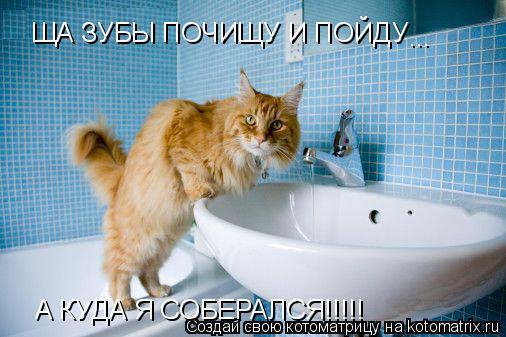 ЩА ЗУБЫ ПОЧИЩУ И ПОЙДУ ... А КУДА Я СОБЕРАЛСЯ!!!!!... Котоматрица: ЩА ЗУБЫ ПОЧИЩУ И ПОЙДУ ... А КУДА Я СОБЕРАЛСЯ!!!!!