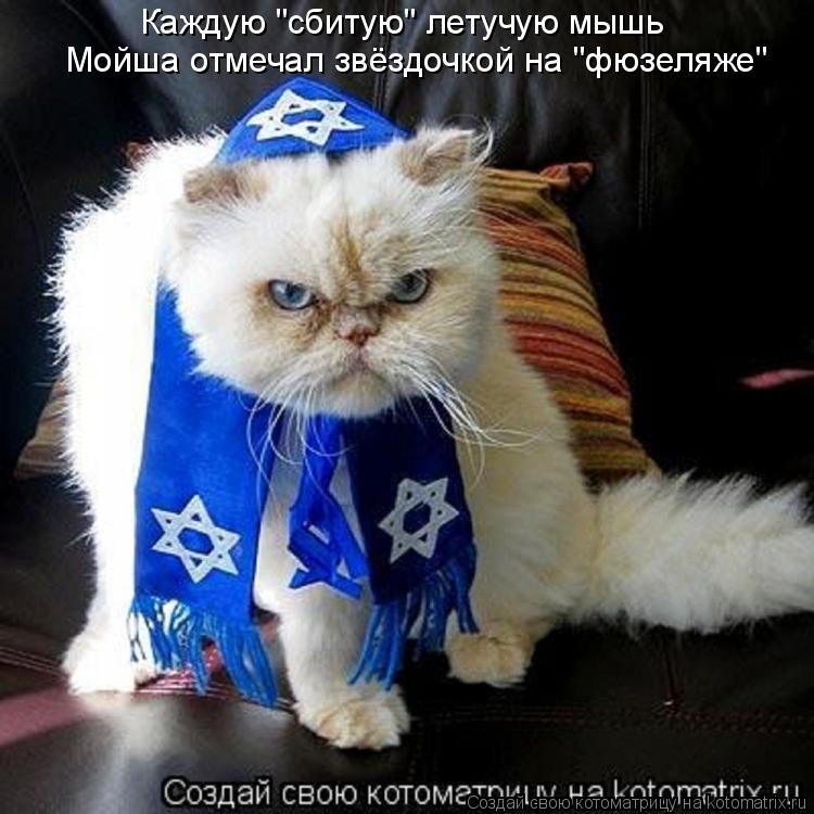 Каждую "сбитую" летучую мышь Мойша отмечал звёздочкой на "фюзеляже"... Котоматрица: Каждую "сбитую" летучую мышь Мойша отмечал звёздочкой на "фюзеляже"