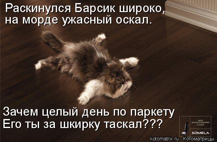 Раскинулся Барсик широко, на морде ужасный оскал. Зачем целый день по паркету Его ты за шкирку таска... Котоматрица: Раскинулся Барсик широко, на морде ужасный оскал. Зачем целый день по паркету Его ты за шкирку таскал???