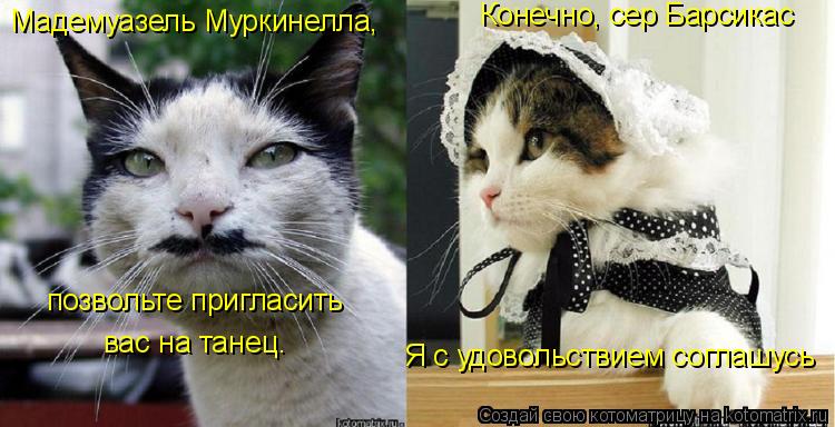 Мадемуазель Муркинелла, позвольте пригласить вас на танец. Конечно, сер Барсикас Я с удовольствием со... Котоматрица: Мадемуазель Муркинелла, позвольте пригласить вас на танец. Конечно, сер Барсикас Я с удовольствием соглашусь