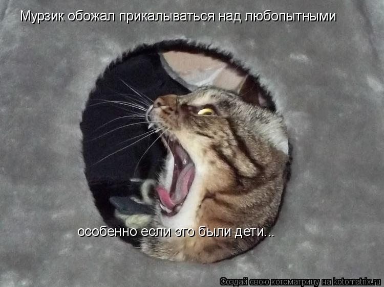 Мурзик обожал прикалываться над любопытными особенно если это были дети...... Котоматрица: Мурзик обожал прикалываться над любопытными особенно если это были дети...