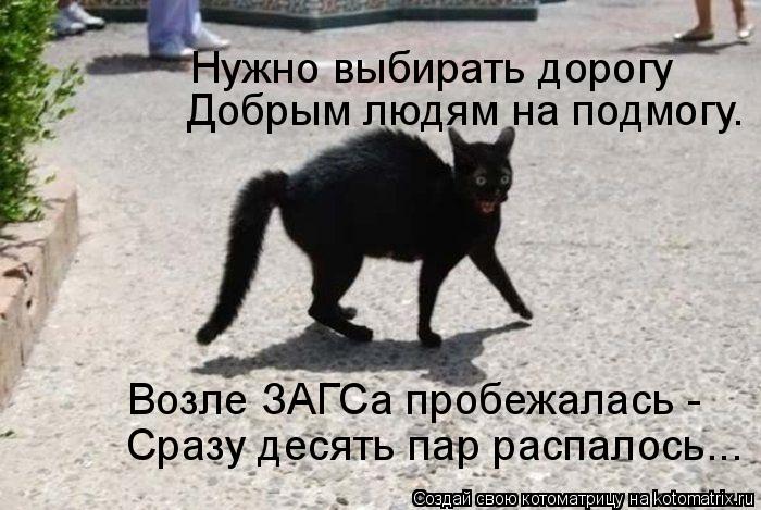 Возле ЗАГСа пробежалась - Сразу десять пар распалось... Добрым людям на подмогу. Нужно выбирать дорог... Котоматрица: Возле ЗАГСа пробежалась - Сразу десять пар распалось... Добрым людям на подмогу. Нужно выбирать дорогу