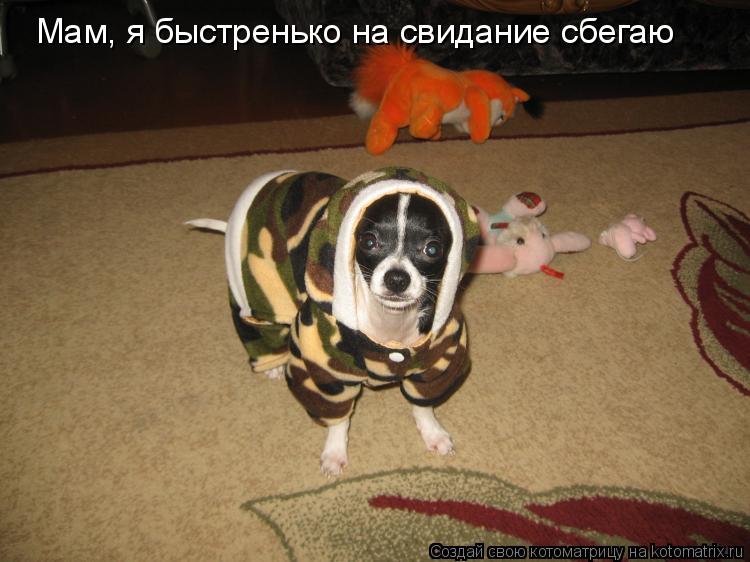 Мам, я быстренько на свидание сбегаю... Котоматрица: Мам, я быстренько на свидание сбегаю