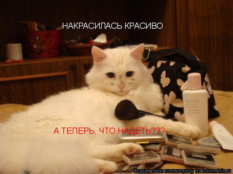 НАКРАСИЛАСЬ КРАСИВО А ТЕПЕРЬ, ЧТО НАДЕТЬ???... Котоматрица: НАКРАСИЛАСЬ КРАСИВО А ТЕПЕРЬ, ЧТО НАДЕТЬ???
