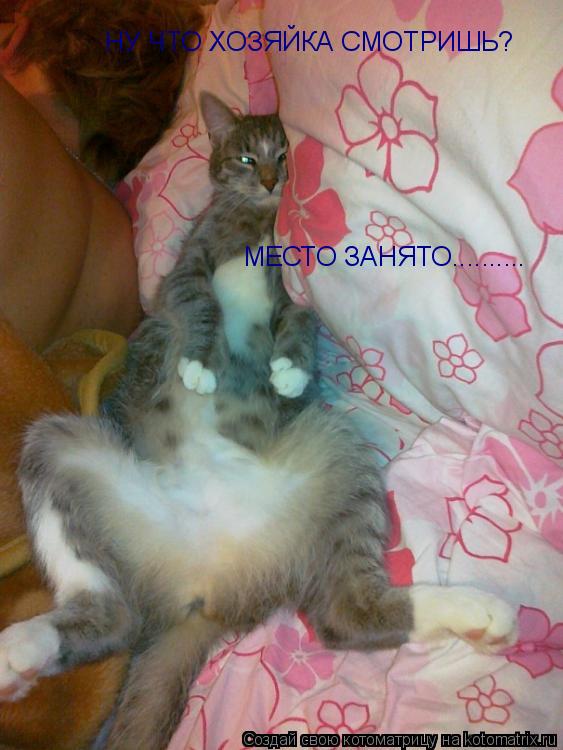 НУ ЧТО ХОЗЯЙКА СМОТРИШЬ? МЕСТО ЗАНЯТО............. Котоматрица: НУ ЧТО ХОЗЯЙКА СМОТРИШЬ? МЕСТО ЗАНЯТО..........