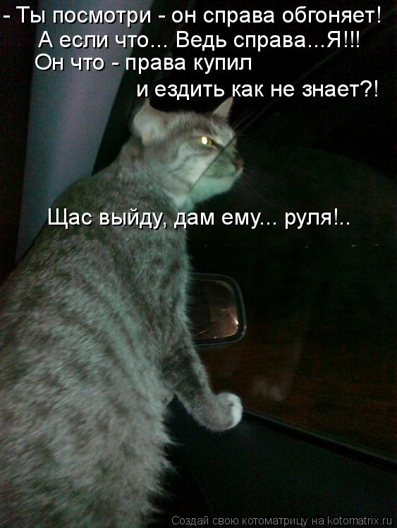 А если что... Ведь справа...Я!!! Он что - права купил и ездить как не знает?! - Ты посмотри - он спр... Котоматрица: А если что... Ведь справа...Я!!! Он что - права купил и ездить как не знает?! - Ты посмотри - он справа обгоняет! Щас выйду, дам ему... руля!..