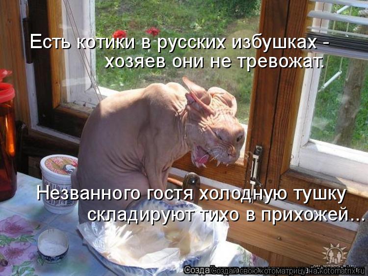 Есть котики в русских избушках - хозяев они не тревожат. Незванного гостя холодную тушку складируют т... Котоматрица: Есть котики в русских избушках - хозяев они не тревожат. Незванного гостя холодную тушку складируют тихо в прихожей...