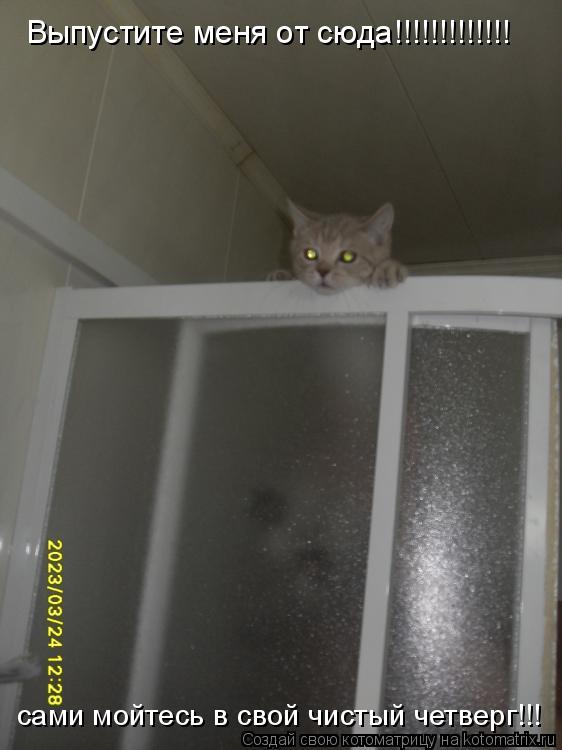 Выпустите меня от сюда!!!!!!!!!!!!! сами мойтесь в свой чистый четверг!!!... Котоматрица: Выпустите меня от сюда!!!!!!!!!!!!! сами мойтесь в свой чистый четверг!!!
