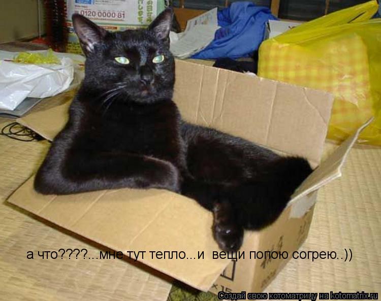 а что????...мне тут тепло...и вещи попою согрею..))... Котоматрица: а что????...мне тут тепло...и вещи попою согрею..))