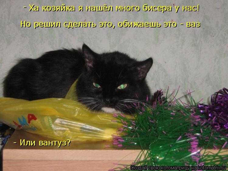Ха козяйка я нашёл много бисера у нас! Но решил сделать это, обижаешь это - ваз - - Или вантуз?... Котоматрица: Ха козяйка я нашёл много бисера у нас! Но решил сделать это, обижаешь это - ваз - - Или вантуз?