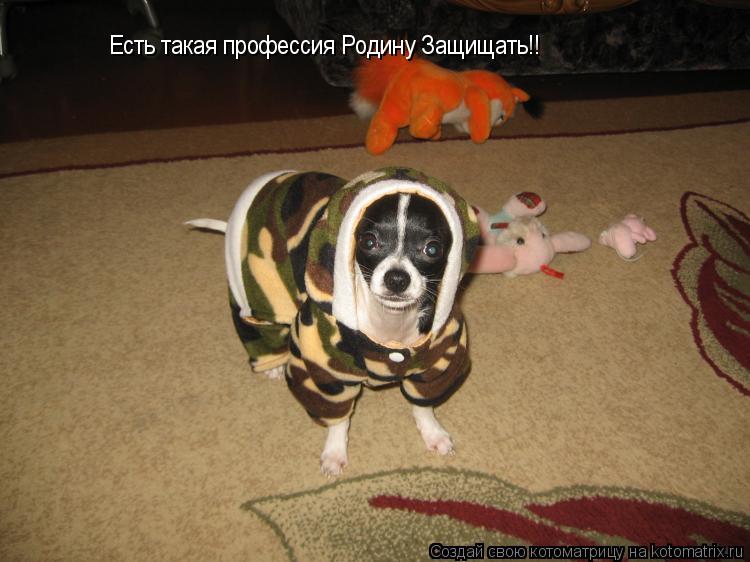 Есть такая профессия Родину Защищать!!... Котоматрица: Есть такая профессия Родину Защищать!!