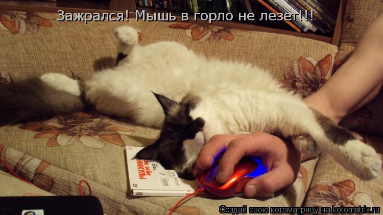 Зажрался! Мышь в горло не лезет!!!... Котоматрица: Зажрался! Мышь в горло не лезет!!!