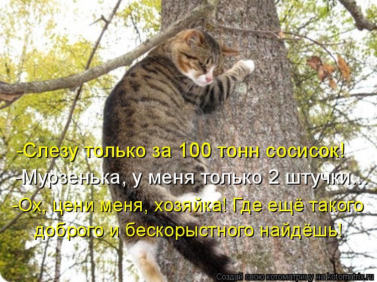 -Слезу только за 100 тонн сосисок! -Мурзенька, у меня только 2 штучки... -Ох, цени меня, хозяйка! Где... Котоматрица: -Слезу только за 100 тонн сосисок! -Мурзенька, у меня только 2 штучки... -Ох, цени меня, хозяйка! Где ещё такого доброго и бескорыстного найдёшь!