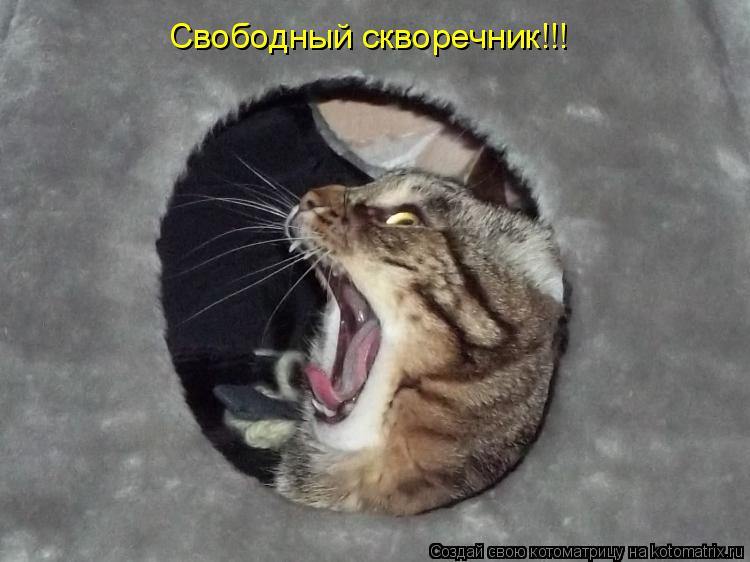 Свободный скворечник!!!... Котоматрица: Свободный скворечник!!!