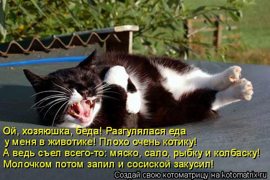 А ведь съел всего-то: мяско, сало, рыбку и колбаску! Молочком потом запил и сосиской закусил! у меня ... Котоматрица: А ведь съел всего-то: мяско, сало, рыбку и колбаску! Молочком потом запил и сосиской закусил! у меня в животике! Плохо очень котику! Ой, хозяюш
