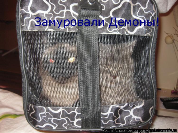 Замуровали Демоны!... Котоматрица: Замуровали Демоны!
