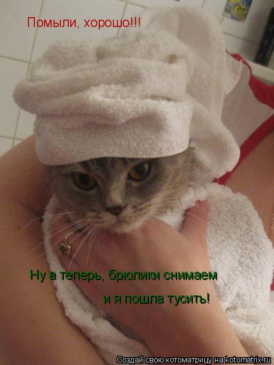 Помыли, хорошо!!! Ну а теперь, брюлики снимаем и я пошла тусить!... Котоматрица: Помыли, хорошо!!! Ну а теперь, брюлики снимаем и я пошла тусить!