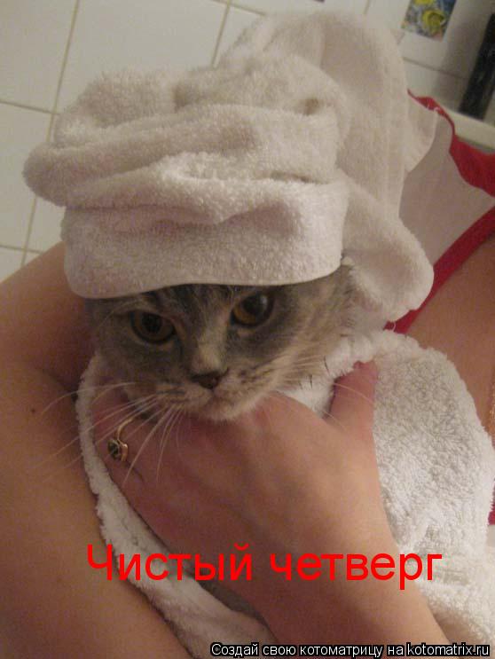 Чистый четверг... Котоматрица: Чистый четверг