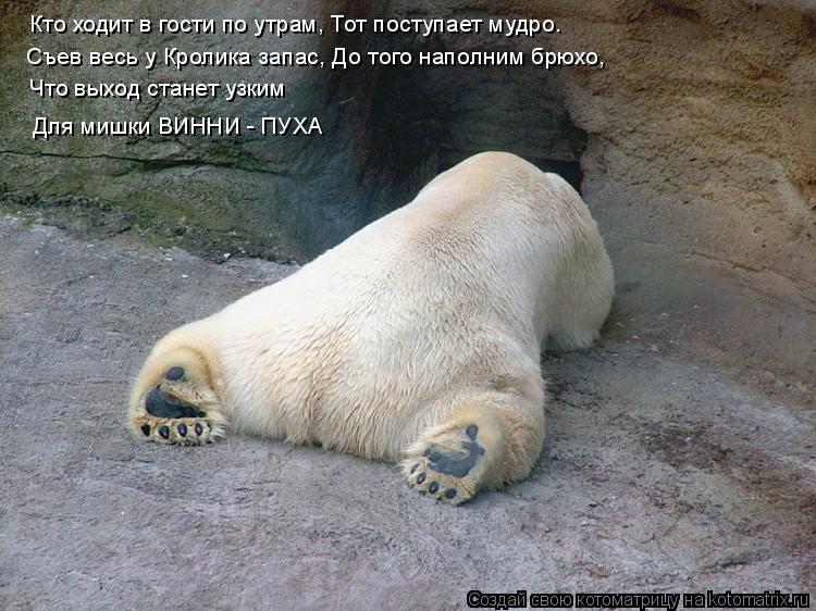 Кто ходит в гости по утрам, Тот поступает мудро. Съев весь у Кролика запас, До того наполним брюхо, Ч... Котоматрица: Кто ходит в гости по утрам, Тот поступает мудро. Съев весь у Кролика запас, До того наполним брюхо, Что выход станет узким Для мишки ВИННИ - ПУ