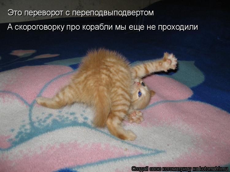 Это переворот с переподвыподвертом А скороговорку про корабли мы еще не проходили... Котоматрица: Это переворот с переподвыподвертом А скороговорку про корабли мы еще не проходили