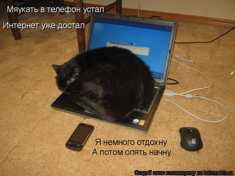 Мяукать в телефон устал Интернет уже достал Я немного отдохну А потом опять начну...... Котоматрица: Мяукать в телефон устал Интернет уже достал Я немного отдохну А потом опять начну...