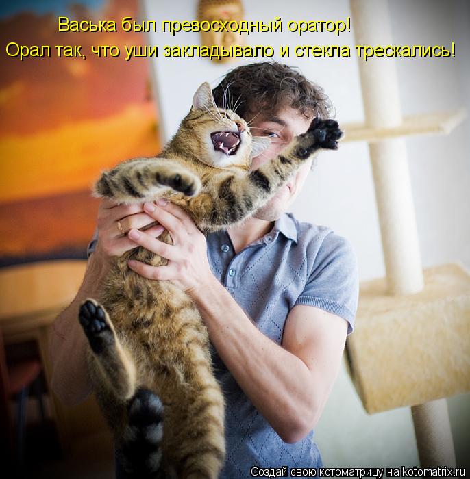 Васька был превосходный оратор! Орал так, что уши закладывало и стекла трескались!... Котоматрица: Васька был превосходный оратор! Орал так, что уши закладывало и стекла трескались!